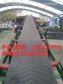 移動(dòng)式膠帶輸送機(jī) 煤塊裝卸皮帶運(yùn)輸機(jī) 大圖